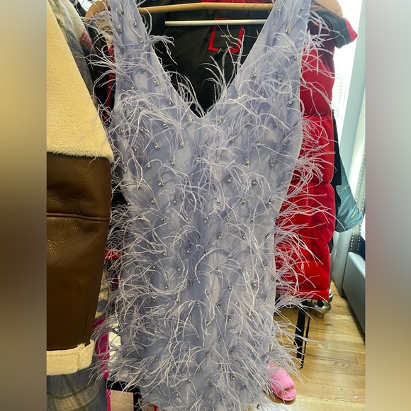 Akira birthday feathered dress - Picture 1 of 2